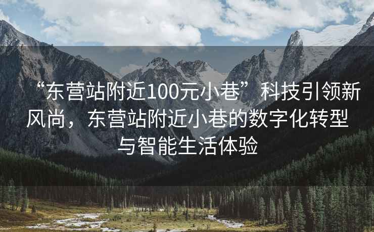 “東營站附近100元小巷”科技引領新風尚，東營站附近小巷的數(shù)字化轉型與智能生活體驗