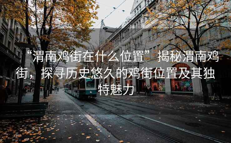 “渭南雞街在什么位置”揭秘渭南雞街，探尋歷史悠久的雞街位置及其獨特魅力