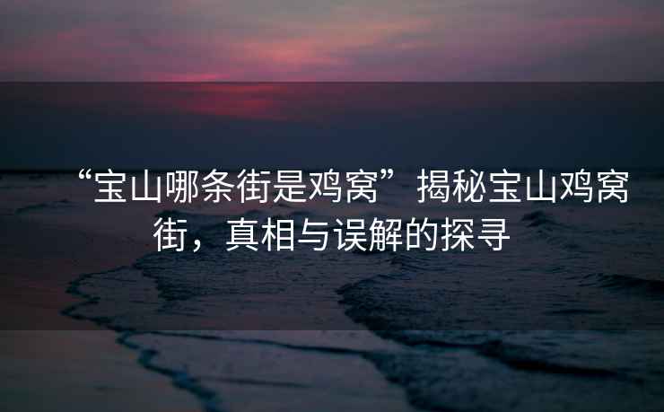 “寶山哪條街是雞窩”揭秘寶山雞窩街，真相與誤解的探尋