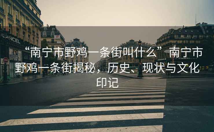 “南寧市野雞一條街叫什么”南寧市野雞一條街揭秘，歷史、現(xiàn)狀與文化印記