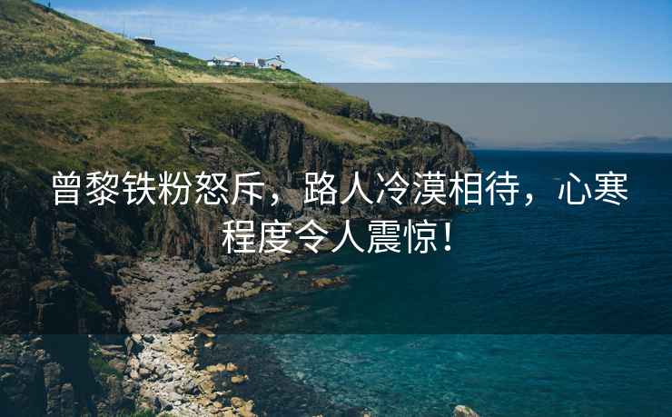 曾黎鐵粉怒斥，路人冷漠相待，心寒程度令人震驚！