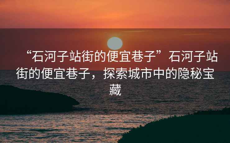 “石河子站街的便宜巷子”石河子站街的便宜巷子，探索城市中的隱秘寶藏