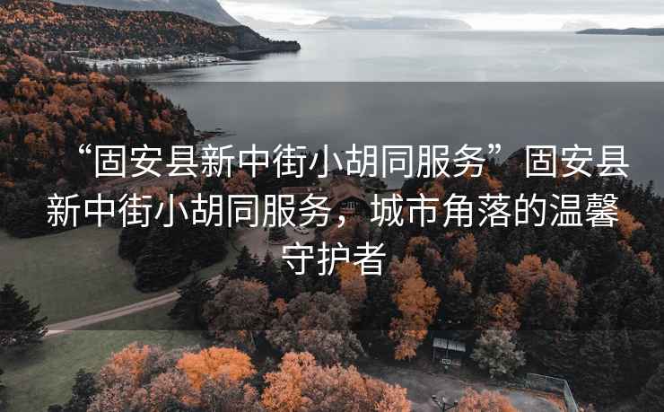 “固安縣新中街小胡同服務(wù)”固安縣新中街小胡同服務(wù)，城市角落的溫馨守護(hù)者