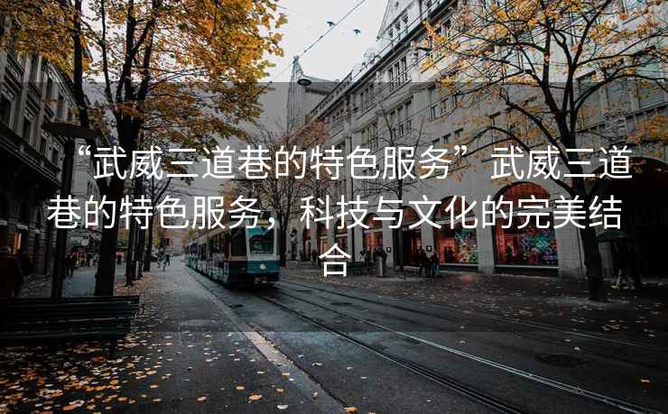 “武威三道巷的特色服務(wù)”武威三道巷的特色服務(wù)，科技與文化的完美結(jié)合
