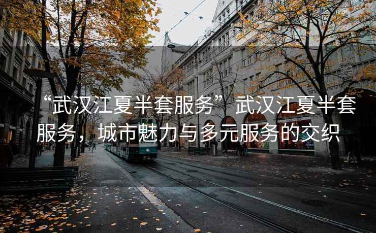 “武漢江夏半套服務(wù)”武漢江夏半套服務(wù)，城市魅力與多元服務(wù)的交織