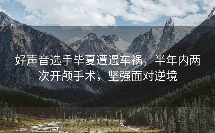 好聲音選手畢夏遭遇車(chē)禍，半年內(nèi)兩次開(kāi)顱手術(shù)，堅(jiān)強(qiáng)面對(duì)逆境