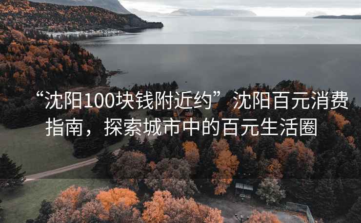 “沈陽100塊錢附近約”沈陽百元消費(fèi)指南，探索城市中的百元生活圈