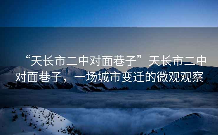 “天長市二中對面巷子”天長市二中對面巷子，一場城市變遷的微觀觀察