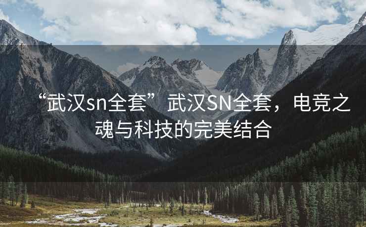 “武漢sn全套”武漢SN全套，電競(jìng)之魂與科技的完美結(jié)合