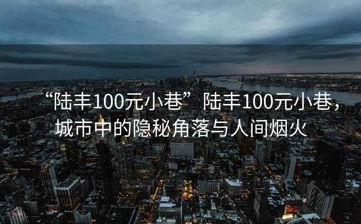 “陸豐100元小巷”陸豐100元小巷，城市中的隱秘角落與人間煙火
