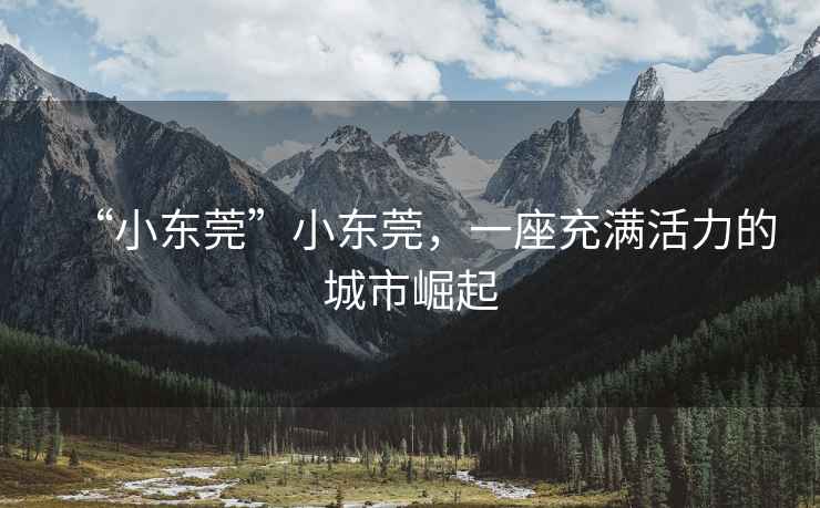“小東莞”小東莞，一座充滿活力的城市崛起
