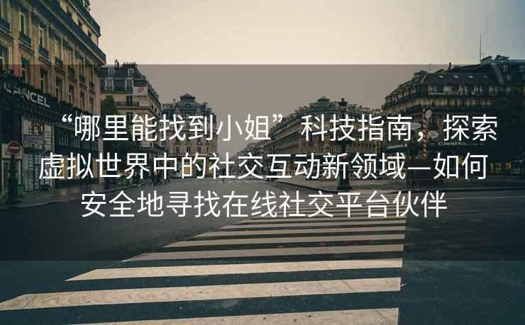 “哪里能找到小姐”科技指南，探索虛擬世界中的社交互動新領域—如何安全地尋找在線社交平臺伙伴