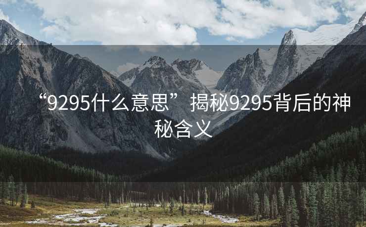 “9295什么意思”揭秘9295背后的神秘含義