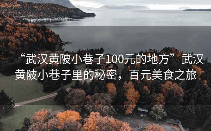“武漢黃陂小巷子100元的地方”武漢黃陂小巷子里的秘密，百元美食之旅