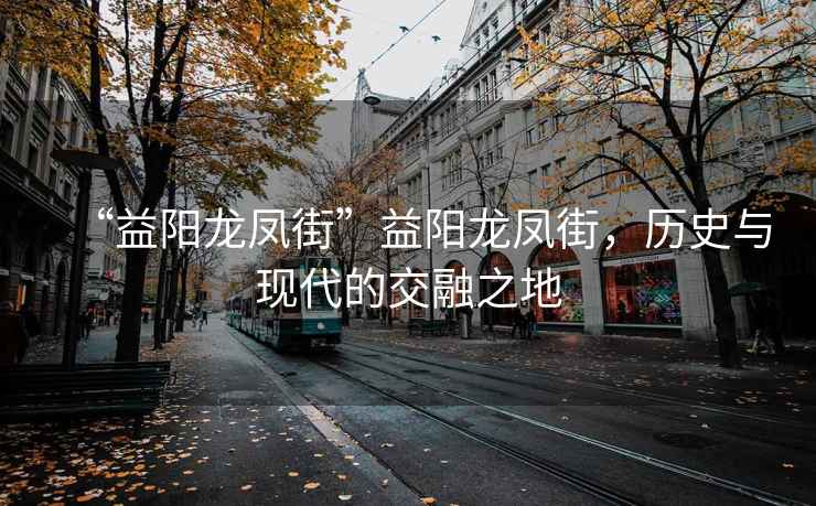 “益陽(yáng)龍鳳街”益陽(yáng)龍鳳街，歷史與現(xiàn)代的交融之地