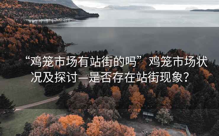 “雞籠市場有站街的嗎”雞籠市場狀況及探討—是否存在站街現(xiàn)象？