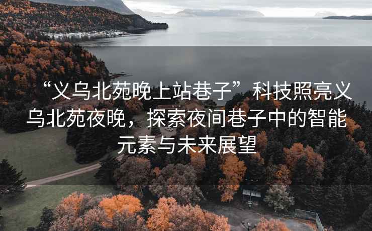 “義烏北苑晚上站巷子”科技照亮義烏北苑夜晚，探索夜間巷子中的智能元素與未來展望