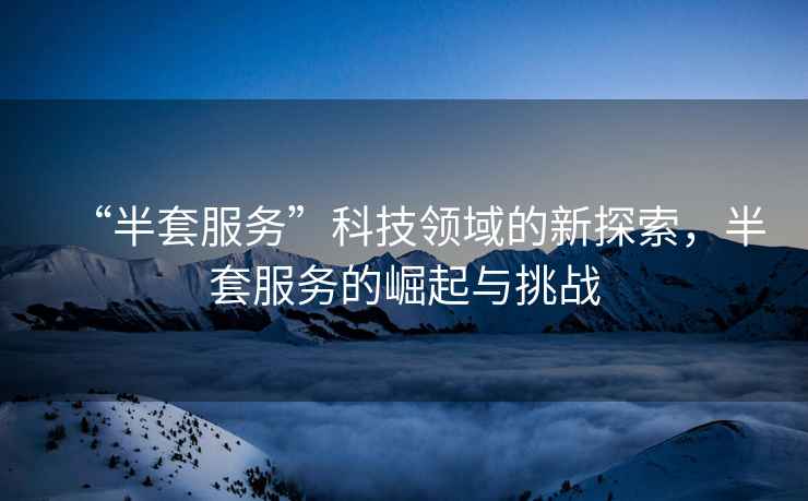 “半套服務(wù)”科技領(lǐng)域的新探索，半套服務(wù)的崛起與挑戰(zhàn)