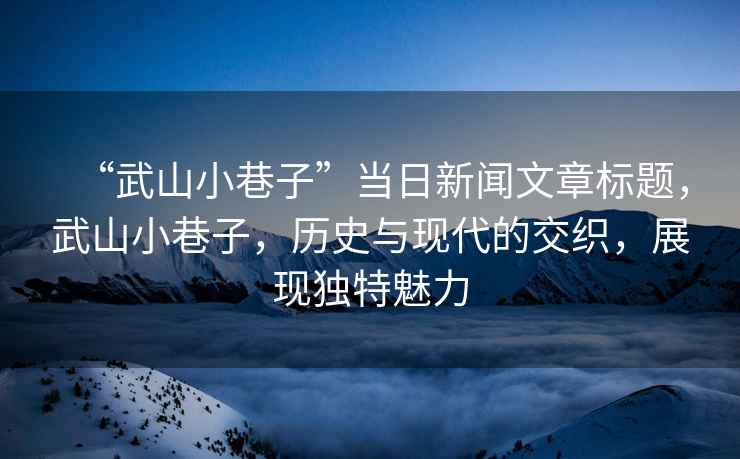 “武山小巷子”當日新聞文章標題，武山小巷子，歷史與現(xiàn)代的交織，展現(xiàn)獨特魅力