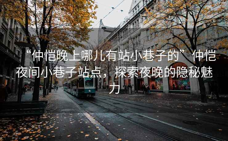 “仲愷晚上哪兒有站小巷子的”仲愷夜間小巷子站點(diǎn)，探索夜晚的隱秘魅力
