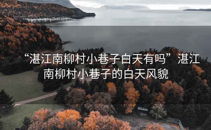“湛江南柳村小巷子白天有嗎”湛江南柳村小巷子的白天風貌