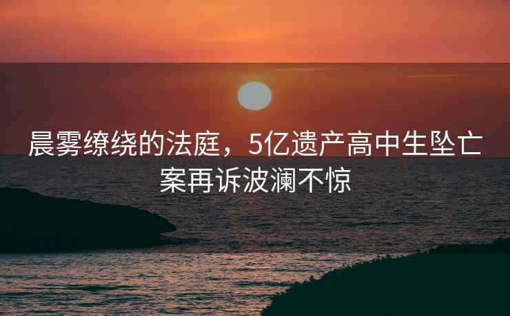 晨霧繚繞的法庭，5億遺產(chǎn)高中生墜亡案再訴波瀾不驚