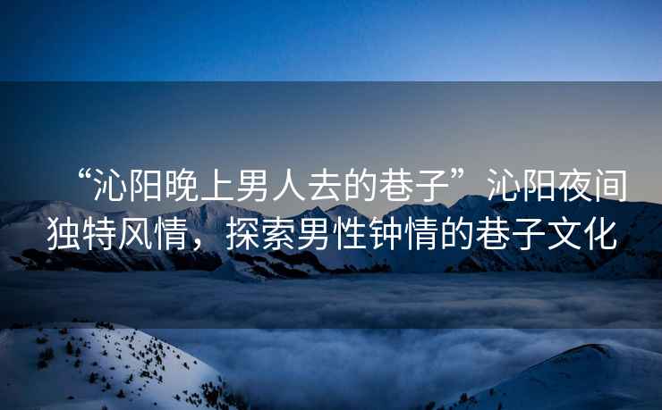 “沁陽晚上男人去的巷子”沁陽夜間獨特風情，探索男性鐘情的巷子文化