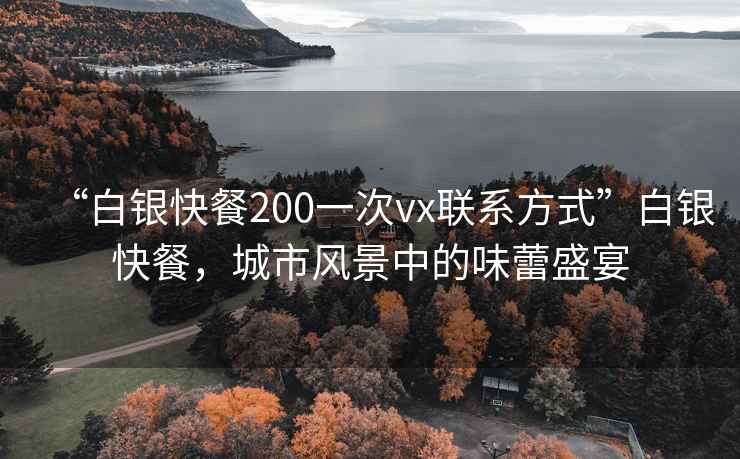 “白銀快餐200一次vx聯(lián)系方式”白銀快餐，城市風景中的味蕾盛宴