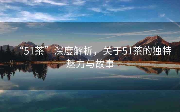 “51茶”深度解析，關(guān)于51茶的獨(dú)特魅力與故事
