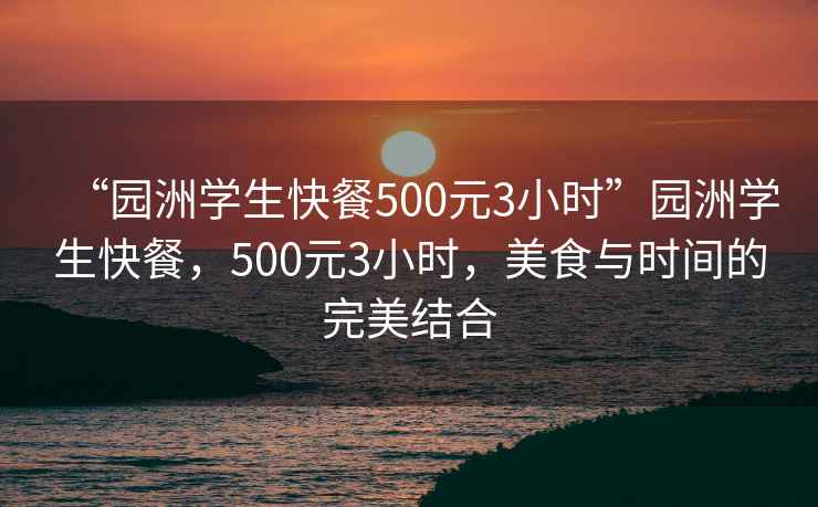 “園洲學生快餐500元3小時”園洲學生快餐，500元3小時，美食與時間的完美結(jié)合