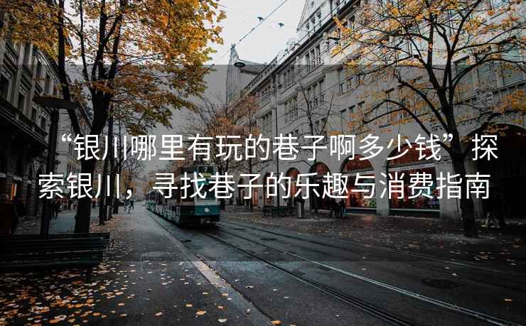 “銀川哪里有玩的巷子啊多少錢”探索銀川，尋找巷子的樂趣與消費指南