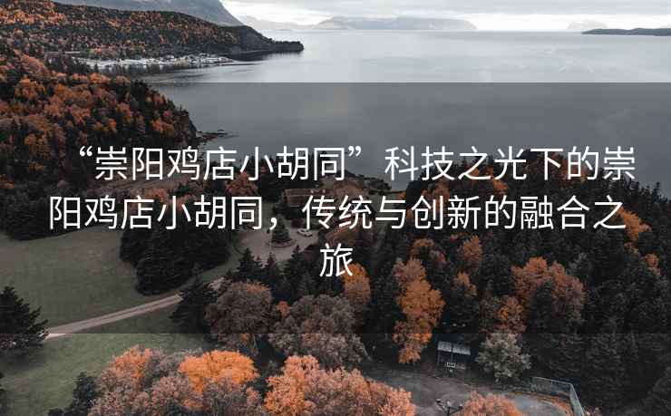 “崇陽雞店小胡同”科技之光下的崇陽雞店小胡同，傳統(tǒng)與創(chuàng)新的融合之旅