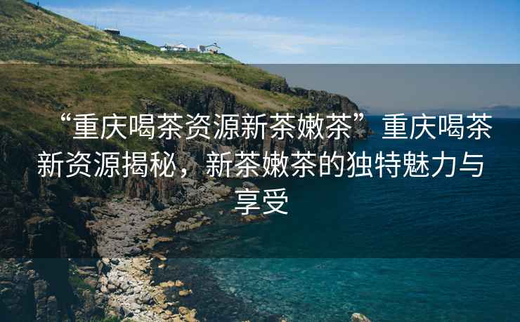 “重慶喝茶資源新茶嫩茶”重慶喝茶新資源揭秘，新茶嫩茶的獨特魅力與享受
