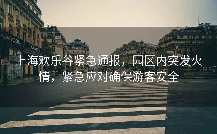 上海歡樂谷緊急通報，園區(qū)內(nèi)突發(fā)火情，緊急應(yīng)對確保游客安全