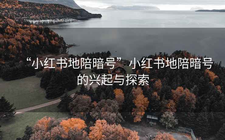 “小紅書地陪暗號”小紅書地陪暗號的興起與探索