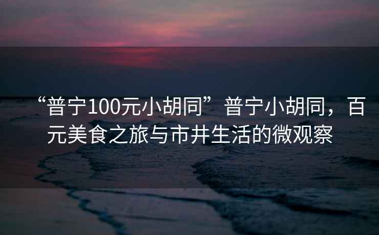 “普寧100元小胡同”普寧小胡同，百元美食之旅與市井生活的微觀察