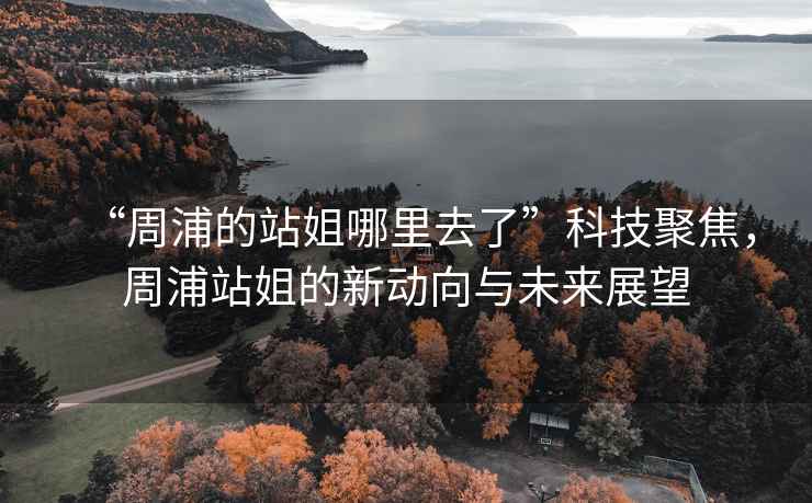“周浦的站姐哪里去了”科技聚焦，周浦站姐的新動(dòng)向與未來展望