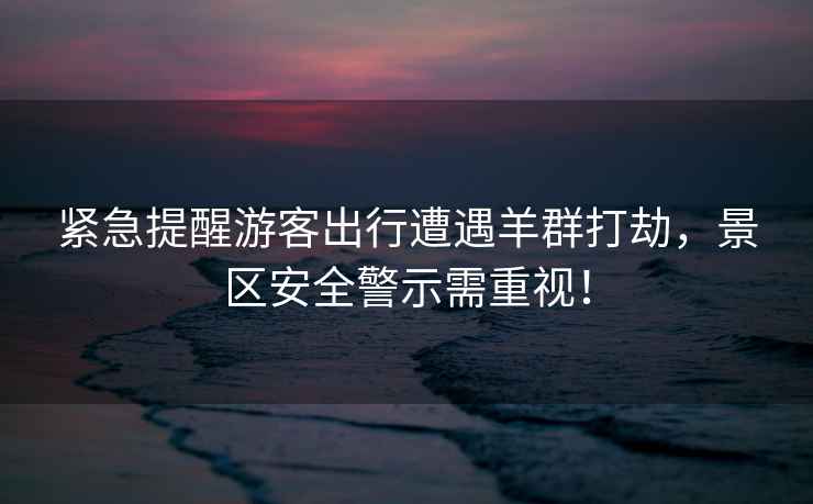 緊急提醒游客出行遭遇羊群打劫，景區(qū)安全警示需重視！