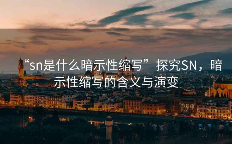 “sn是什么暗示性縮寫”探究SN，暗示性縮寫的含義與演變