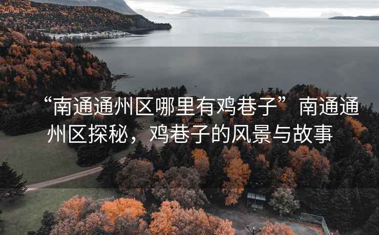 “南通通州區(qū)哪里有雞巷子”南通通州區(qū)探秘，雞巷子的風(fēng)景與故事