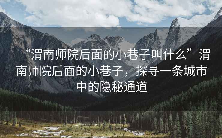 “渭南師院后面的小巷子叫什么”渭南師院后面的小巷子，探尋一條城市中的隱秘通道