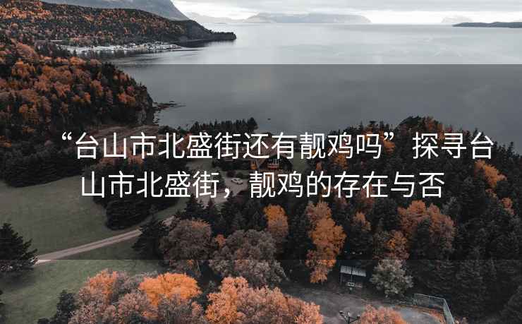 “臺山市北盛街還有靚雞嗎”探尋臺山市北盛街，靚雞的存在與否