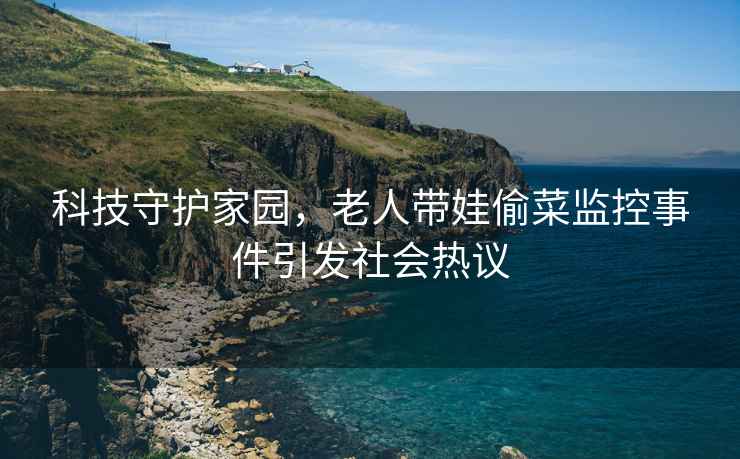 科技守護(hù)家園，老人帶娃偷菜監(jiān)控事件引發(fā)社會(huì)熱議
