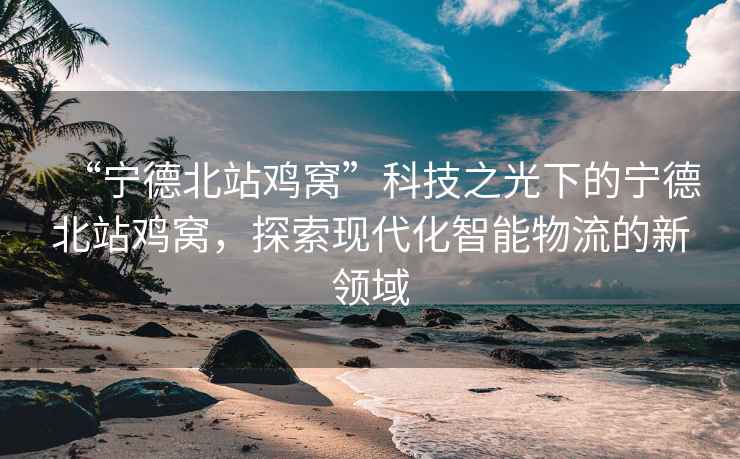 “寧德北站雞窩”科技之光下的寧德北站雞窩，探索現代化智能物流的新領域