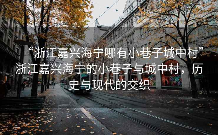 “浙江嘉興海寧哪有小巷子城中村”浙江嘉興海寧的小巷子與城中村，歷史與現(xiàn)代的交織