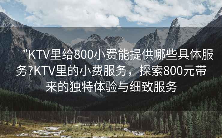 “KTV里給800小費能提供哪些具體服務(wù)?KTV里的小費服務(wù)，探索800元帶來的獨特體驗與細致服務(wù)