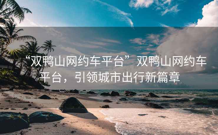 “雙鴨山網(wǎng)約車平臺”雙鴨山網(wǎng)約車平臺，引領(lǐng)城市出行新篇章