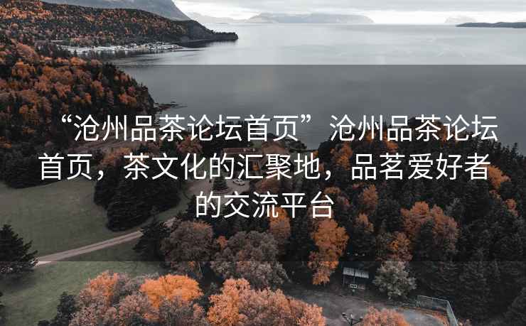“滄州品茶論壇首頁”滄州品茶論壇首頁，茶文化的匯聚地，品茗愛好者的交流平臺