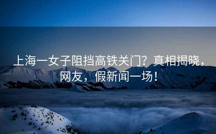 上海一女子阻擋高鐵關(guān)門？真相揭曉，網(wǎng)友，假新聞一場！