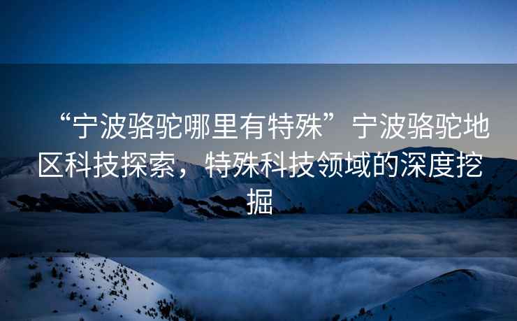 “寧波駱駝哪里有特殊”寧波駱駝地區(qū)科技探索，特殊科技領(lǐng)域的深度挖掘